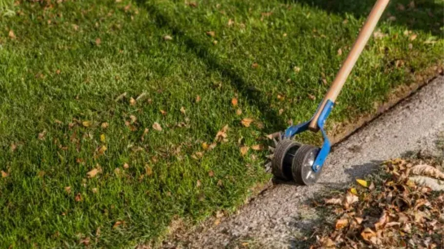 How To Dethatch A Lawn